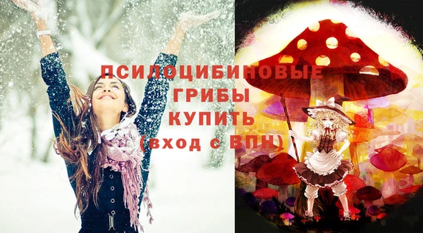 твердый Вязьма