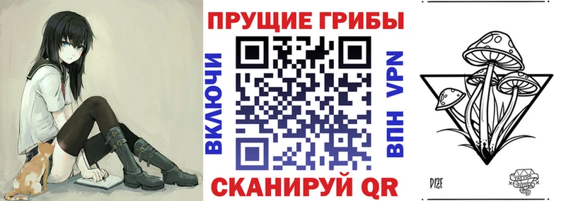 Купить закладки  Нюрба  Галлюциногенные грибы Psilocybine cubensis 