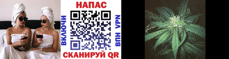 Купить закладки  Нюрба  Канабис сатива 